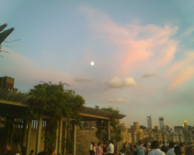Roof of the Met