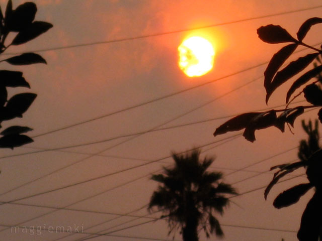 sunset