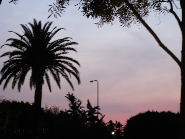 sunset12109 sunset12109