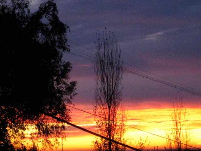 sunset-1-1-2010 sunset-1-1-2010