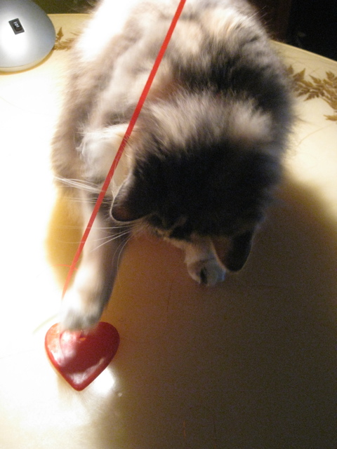 honeybeevalentine